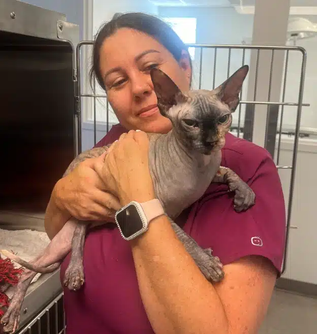 Family cat receiving compassionate veterinary care and wellness support