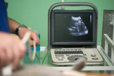 Veterinarian using an ultrasound diagnostic machine to examine a cat in a clinic