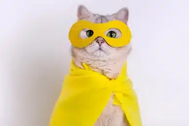 Cream-colored cat wearing a yellow superhero mask and cape against a white background